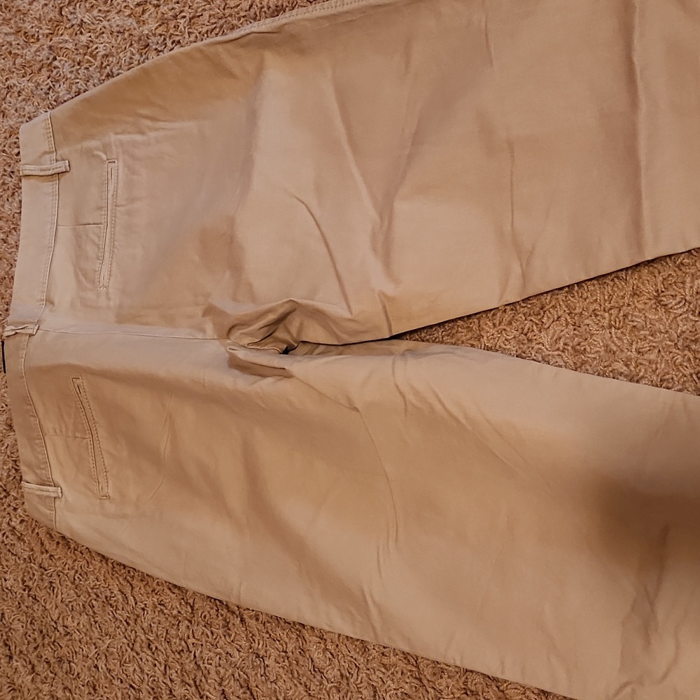 NWT Banana Republuc Tan Capri Womans Size 6 - Picture 7 of 9